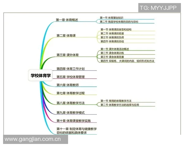篮球教会我们的合作精神与高效问题解决能力的深刻启示